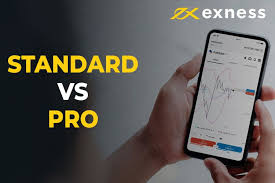 Understanding the Financial Market with Exness India Understanding the Financial Market with Exness India